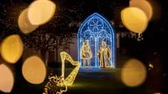Công viên ánh sáng Žluté lázně đưa du khách trở về Praha thế kỷ 14