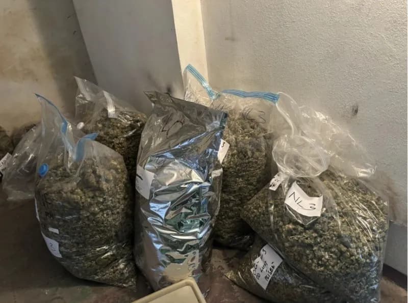 Cảnh sát Secs thu giữ tang vật trị giá 330 triệu korun trong chiến dịch truy quét cannabinoid