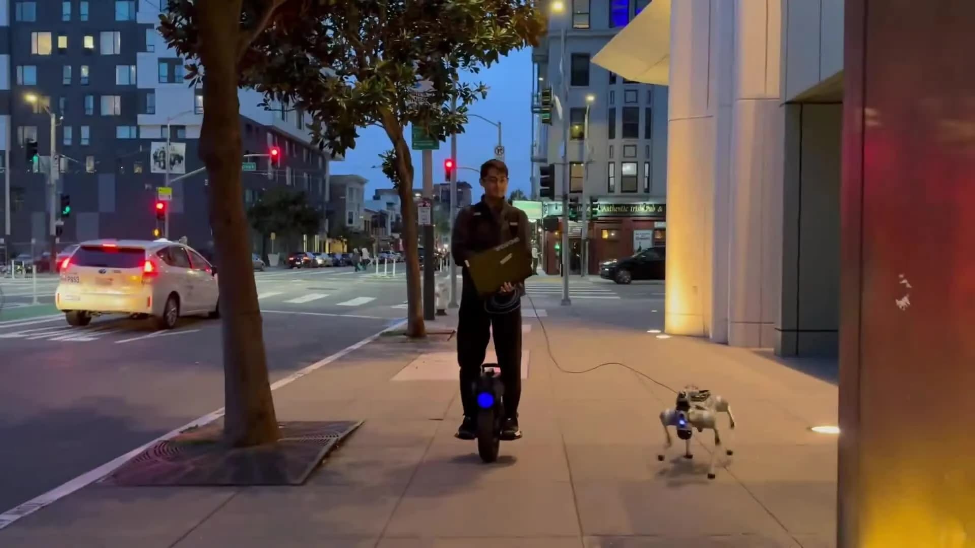 Công ty Mỹ tuyển người dắt chó robot đi dạo