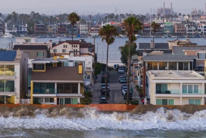 El Nino đưa rắn biển độc, cá nhiệt đới đến bờ biển California