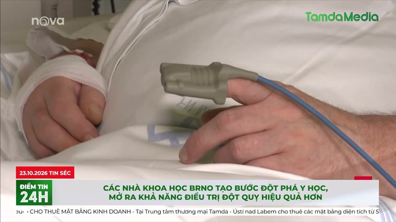 Các nhà khoa học Brno tạo bước đột phá y học, mở ra khả năng điều trị đột quỵ hiệu quả hơn