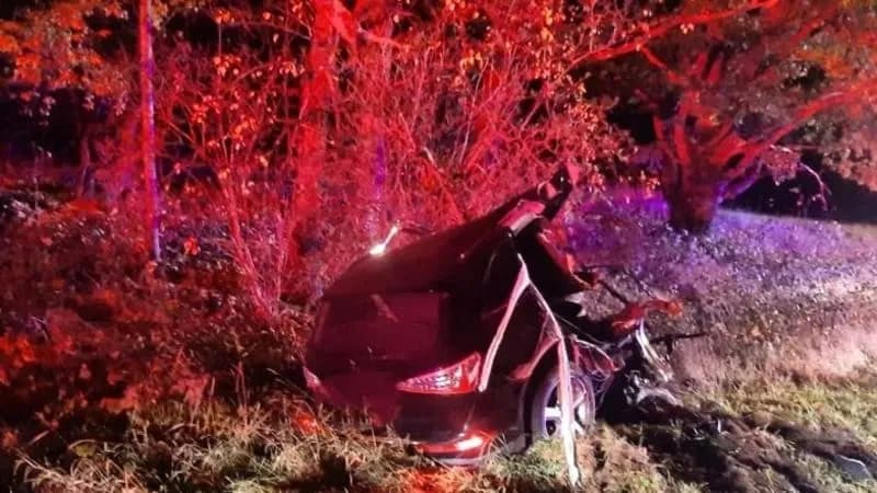 Hé lộ tình tiết gây sốc phía sau vụ tai nạn ở Jindřichův Hradec: Tài xế bị nghi hành hung vợ dã man trước khi tử vong