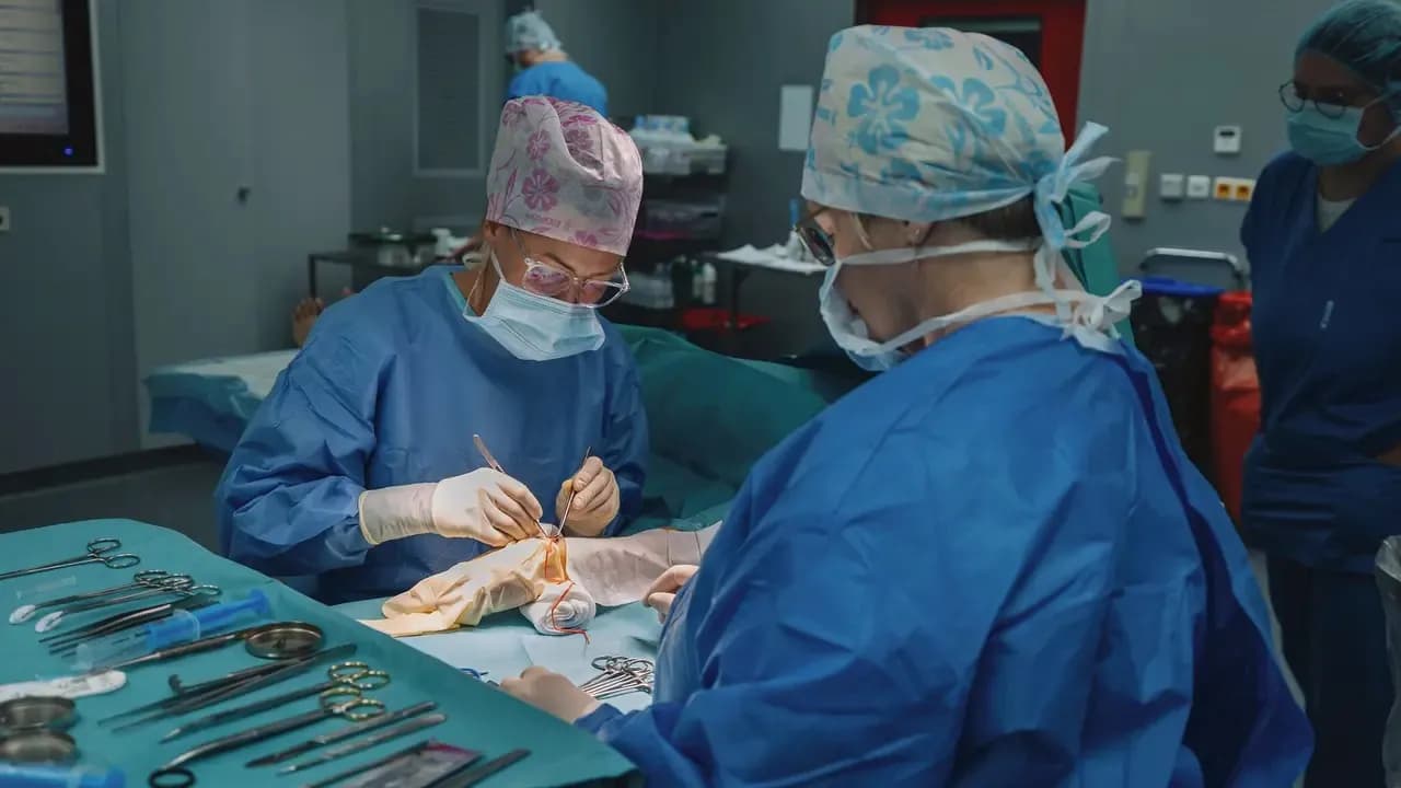 Đột phá y khoa tại Séc: Cấy ghép thành công mạch máu từ bò cứu sống bệnh nhân suy thận