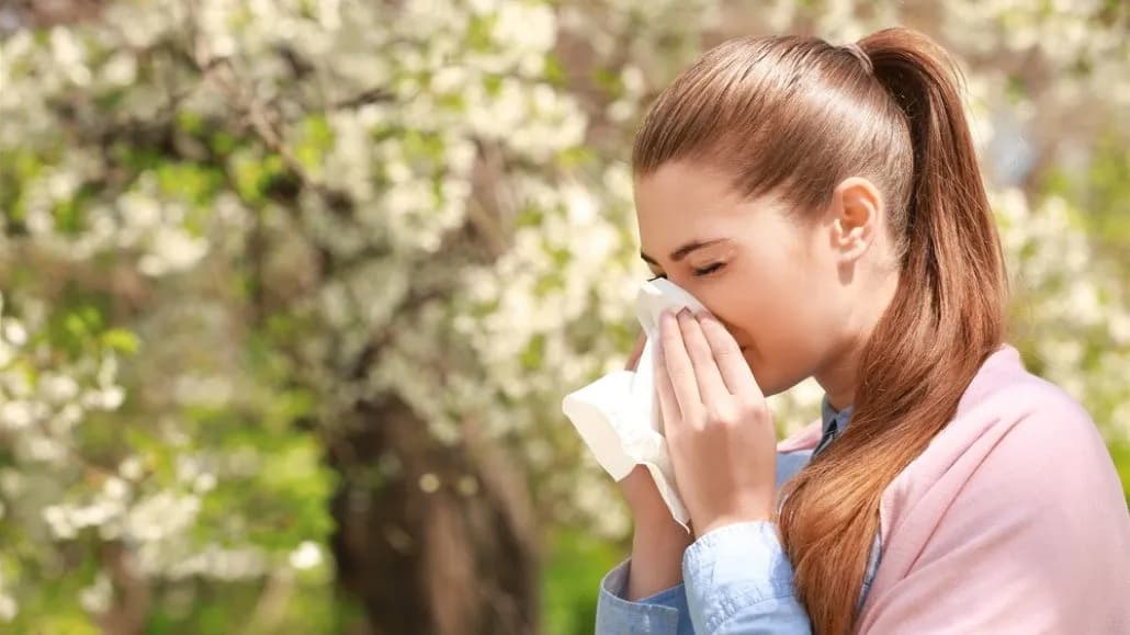 Dị ứng không kết thúc cùng mùa hè: Phấn hoa vẫn phát tán trong tháng 9, nấm mốc cũng gây nhiều triệu chứng
