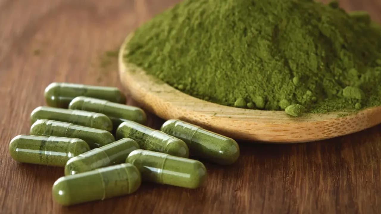 Chính phủ Séc siết chặt quản lý kratom: Nâng độ tuổi mua lên 21 và cấm bán qua mạng