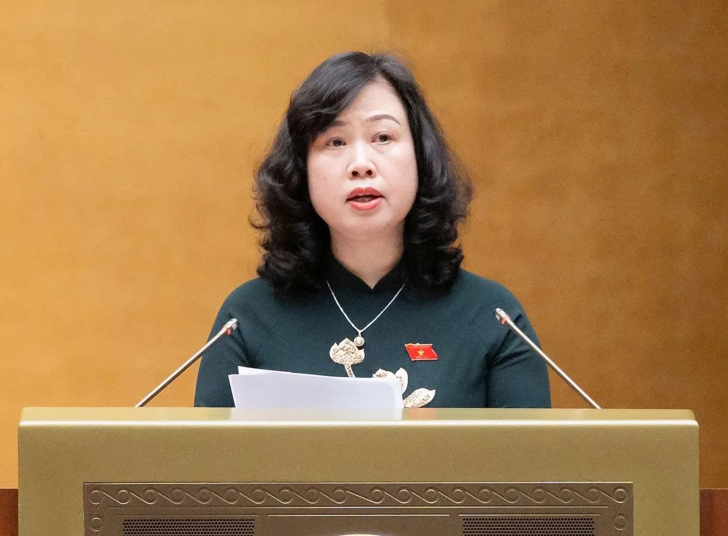 Bộ trưởng Đào Hồng Lan trình Quốc hội sửa Luật An toàn thực phẩm, thống nhất đầu mối quản lý