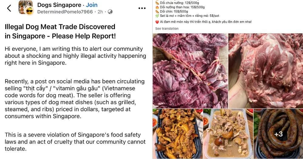 Singapore xác minh các bài rao bán thịt chó bằng tiếng Việt