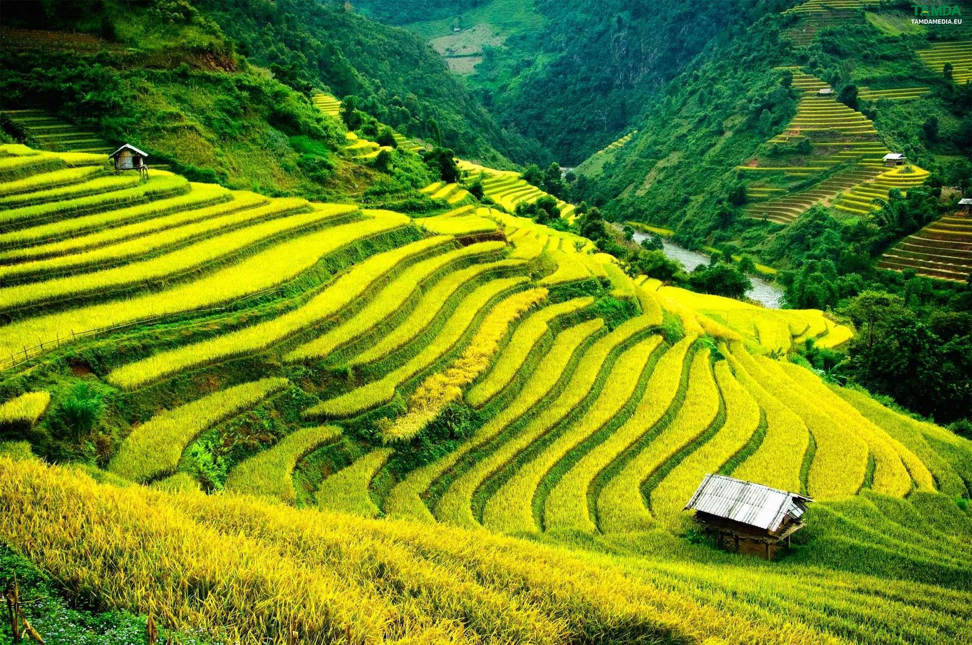 Přírodní krásy Vietnamu, které vám vyrazí dech