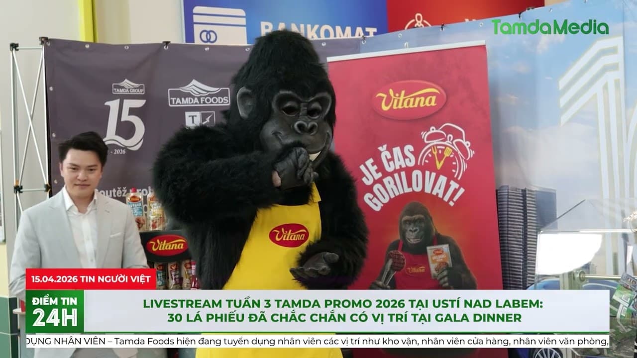 Livestream tuần 3 Tamda Promo 2026: 30 lá phiếu đã chắc chắn có vị trí tại Gala dinner